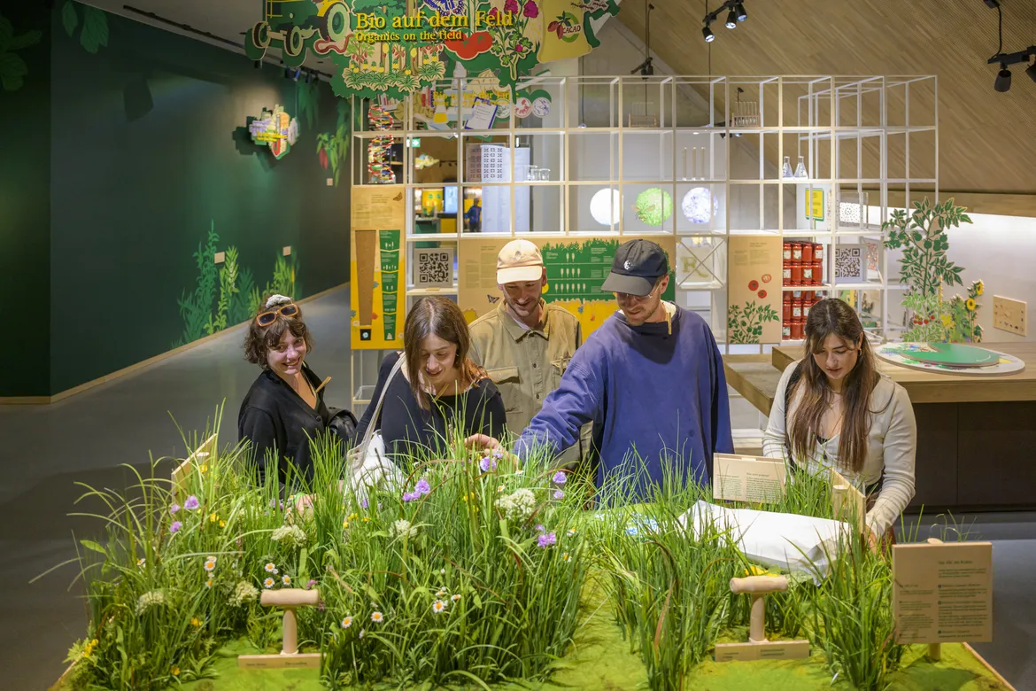 Visitors at a planted exhibition table in the exhibition Organics on the field